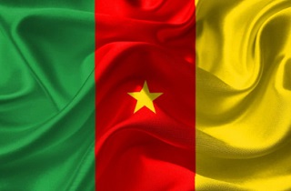 drapeau cameroun